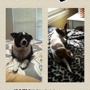 Meet your Posher, Jamieandkristen